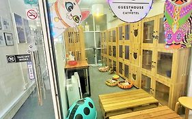 Kasturi Alley Guesthouse & Cat Hotel